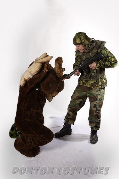 2512.jpg