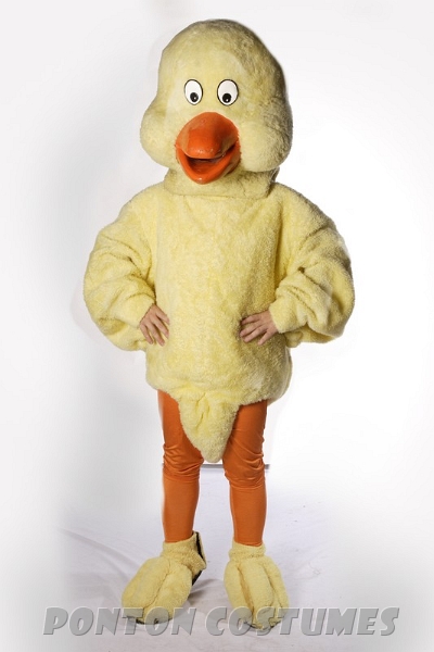 2528.jpg