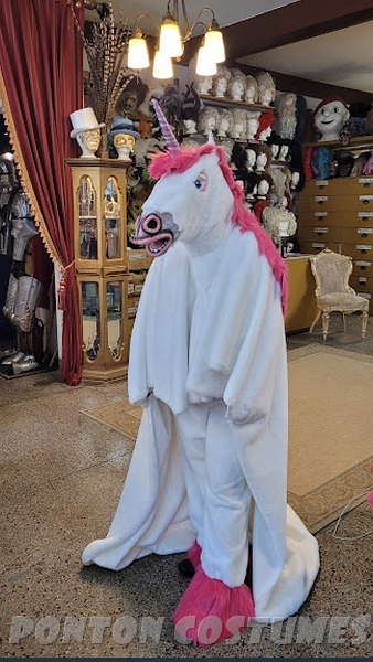7529.jpg