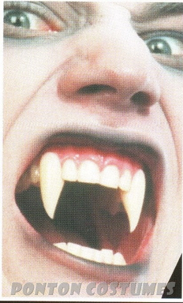 image19-1.jpg